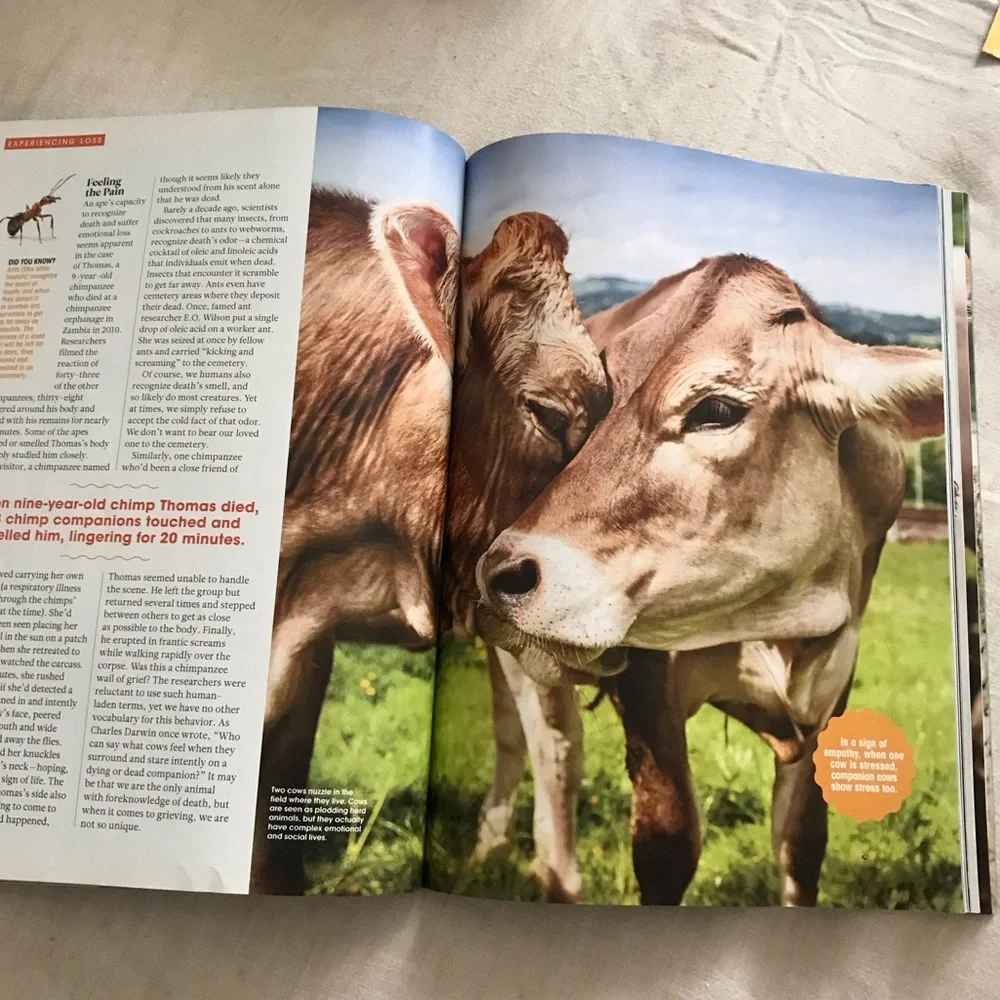 FREE The Ultimate Guide to the Animal Mind - Picture 6 of 10